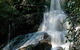 Bangalore Falls Walking Track - thumb 0