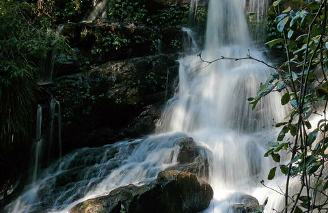 Bangalore Falls Walking Track - Accommodation Nelson Bay 0