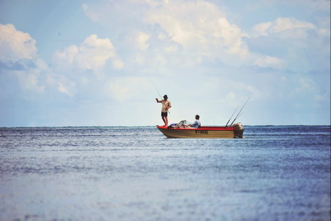 Barramundi To Trevally – A Seaforth Fishing Adventure - Accommodation Nelson Bay 1