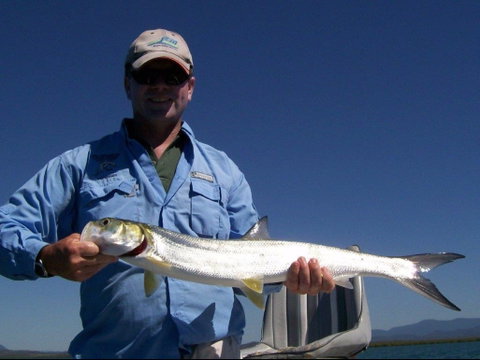 Barramundi To Trevally – A Seaforth Fishing Adventure - Accommodation Nelson Bay 2