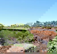Bladensburg National Park - Accommodation Nelson Bay