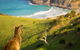 Blowhole Beach - thumb 1