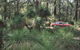 Bridgetown Jarrah Park - thumb 0