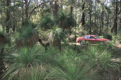 Bridgetown Jarrah Park - Accommodation Nelson Bay 0