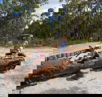 Crooked Brook Forest - Accommodation Nelson Bay