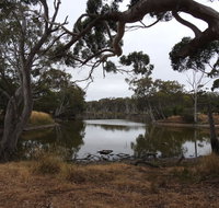 Duck Lagoon - Accommodation Nelson Bay