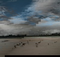 Hardwicke Bay - Accommodation Nelson Bay