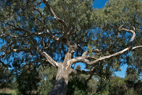 Holey Plains State Park - Accommodation Nelson Bay 0