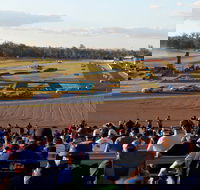 Ipswich Motorsport Precinct - Accommodation Nelson Bay