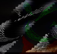 James McMurtrie's  Glass Blowing Studio and Gallery