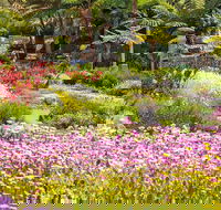 Jurassic Garden AR Experience - Accommodation Nelson Bay