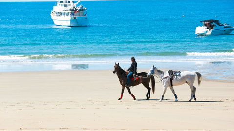 Mackay Harbour Beach - Accommodation Nelson Bay 0