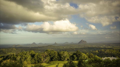 Mary Cairncross Scenic Reserve Rainforest Walk - Accommodation Nelson Bay 0