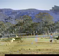 Megalong Valley - Accommodation Nelson Bay
