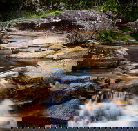 Mothar Mountain Rockpools - Accommodation Nelson Bay