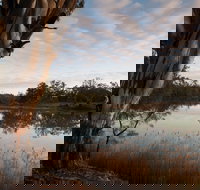 Murray-Kulkyne Regional Park - Accommodation Nelson Bay