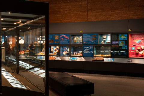 Museum Of Central Australia - Accommodation Nelson Bay 0