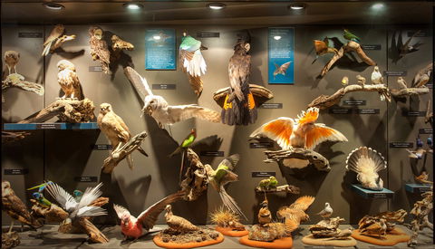 Museum Of Central Australia - Accommodation Nelson Bay 2