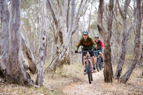 Nail Can Hill - Accommodation Nelson Bay 1