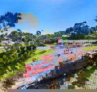 Naracoorte Mini Golf - Accommodation Nelson Bay