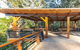 Orara East State Forest - thumb 1