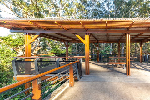 Orara East State Forest - Accommodation Nelson Bay 1