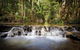 Orara East State Forest - thumb 2