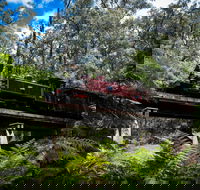 Puffing Billy Railway - Accommodation Nelson Bay