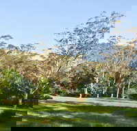 Red Cedar Flat Picnic Area - Accommodation Nelson Bay