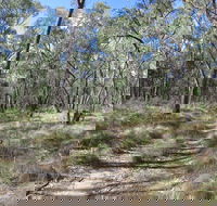 Reef Hills State Park - Accommodation Nelson Bay