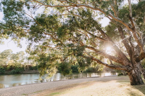 Riverside:  Wagga Beach - Accommodation Nelson Bay 1