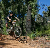 Scorpion Trail Kalamunda Mountain Bike Trails - Accommodation Nelson Bay