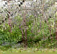 Scutts Hut Trail - Accommodation Nelson Bay