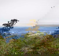 Slingsbys Trail and Syndicate Ridge Track - Accommodation Nelson Bay