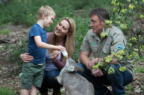Tamworth Marsupial Park And Adventure Playground - Accommodation Nelson Bay 0