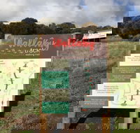 The Wallaby Track - Accommodation Nelson Bay