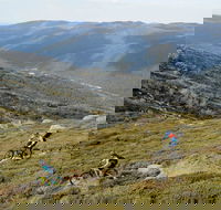 Thredbo Mountain Biking - Accommodation Nelson Bay