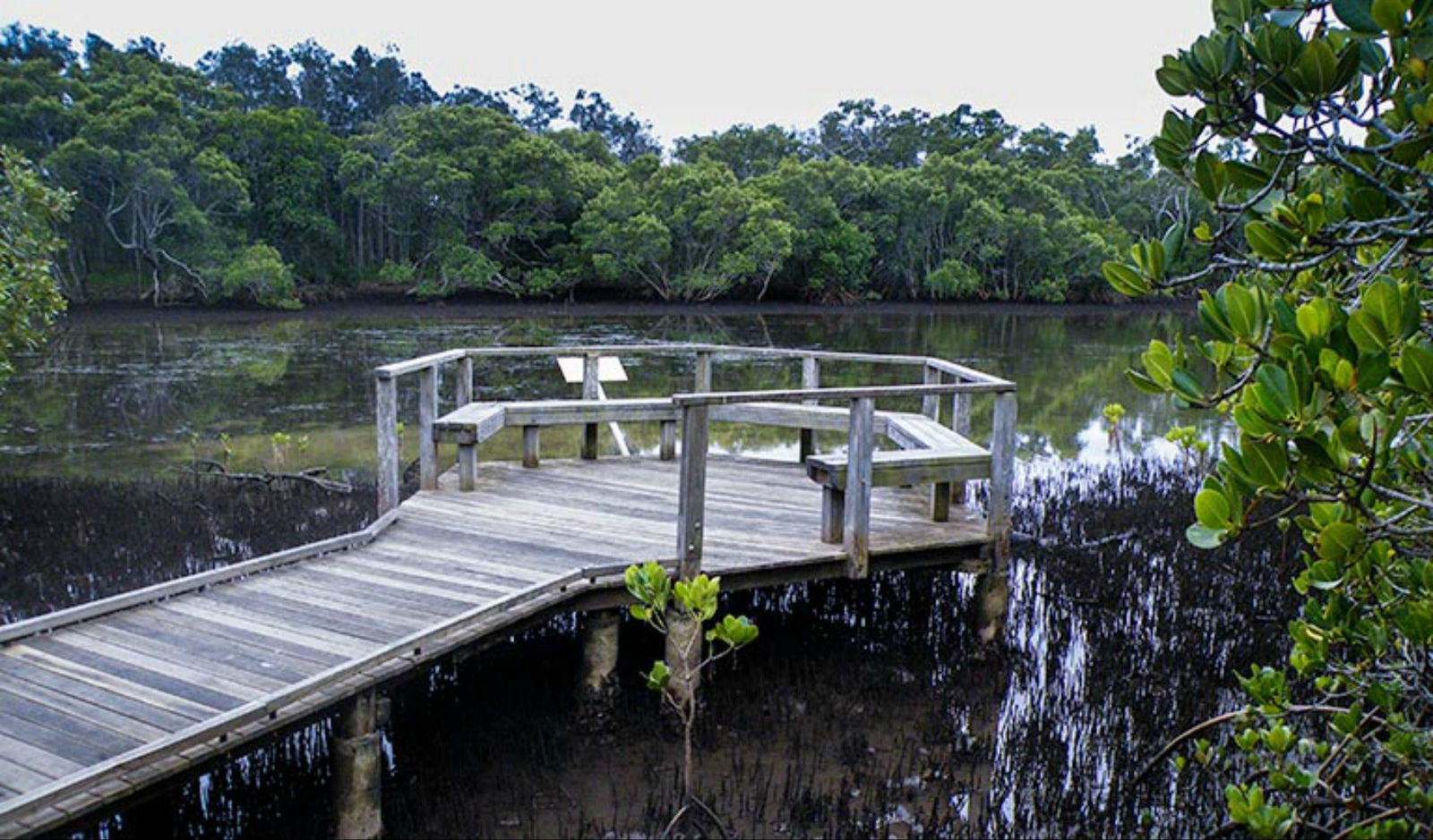 Tweed Heads South NSW Accommodation Nelson Bay