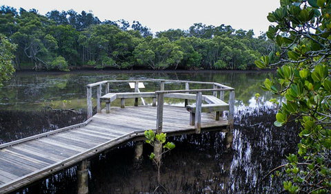 Walk On Water Walking Track - Accommodation Nelson Bay 0