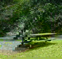 Williams River picnic area - Accommodation Nelson Bay