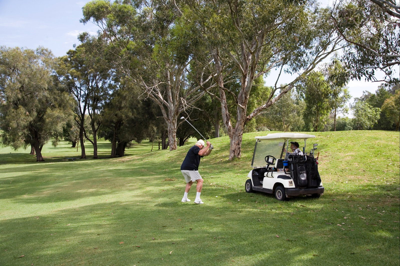 Sutherland Shire NSW Accommodation Nelson Bay