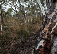 Yanununbeyan State Conservation Area - Accommodation Nelson Bay