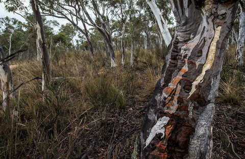 Yanununbeyan State Conservation Area - Accommodation Nelson Bay 0