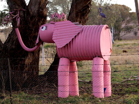 Animals On Bikes - Accommodation Nelson Bay 0