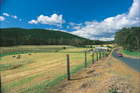 Blackwood River Tourist Drive - Accommodation Nelson Bay 0