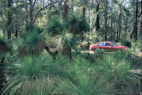 Blackwood River Tourist Drive - Accommodation Nelson Bay 2