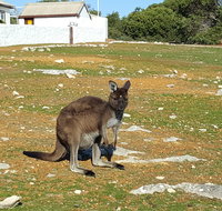 Cape Borda Lightstation - Flinders Chase National Park - Accommodation Nelson Bay