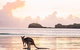 Cape Hillsborough – A Low Tide Fishing Adventure - thumb 0