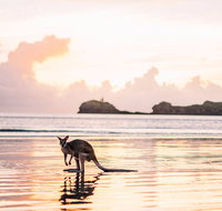 Cape Hillsborough  A Low Tide Fishing Adventure - Accommodation Nelson Bay