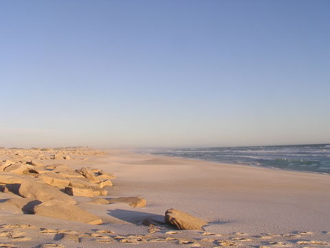 Chadinga Conservation Park - Accommodation Nelson Bay 0